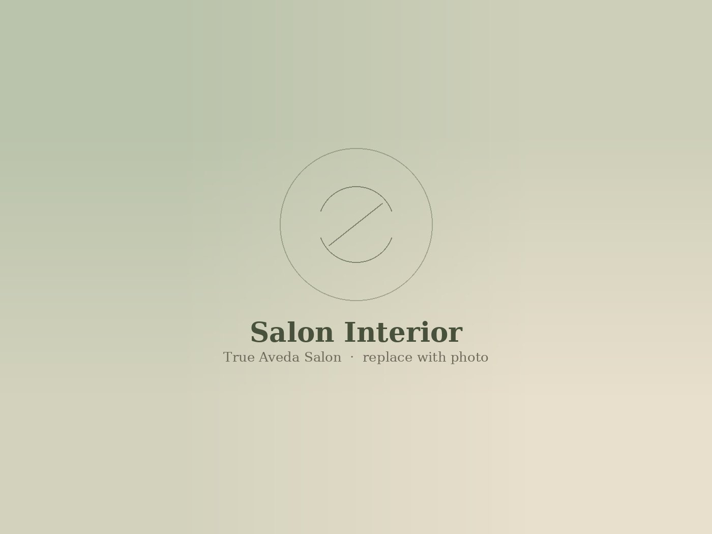 Natural light and warm materials inside the salon